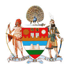 mayo